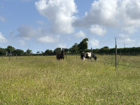 Pension de propritaires