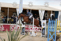 Vente de cheval : Valicka du soleil 