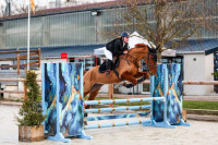 Vente de cheval : �le du vivier 