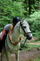 Vente de poney
