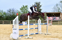 Vente de cheval : Hellboy de mauret