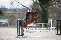 Vente de cheval : LANSA DU FRELUT