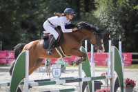 Vente de cheval : Dollar Des Quarts