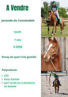 Vente de poney