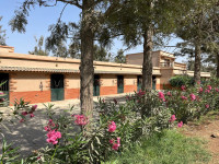 Cavaliere / Assistante d'entraineur francais au Maroc