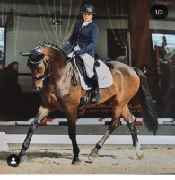 Vente de cheval : L.S