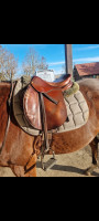 Vente de selle 232