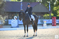 Vente de cheval : Sunny