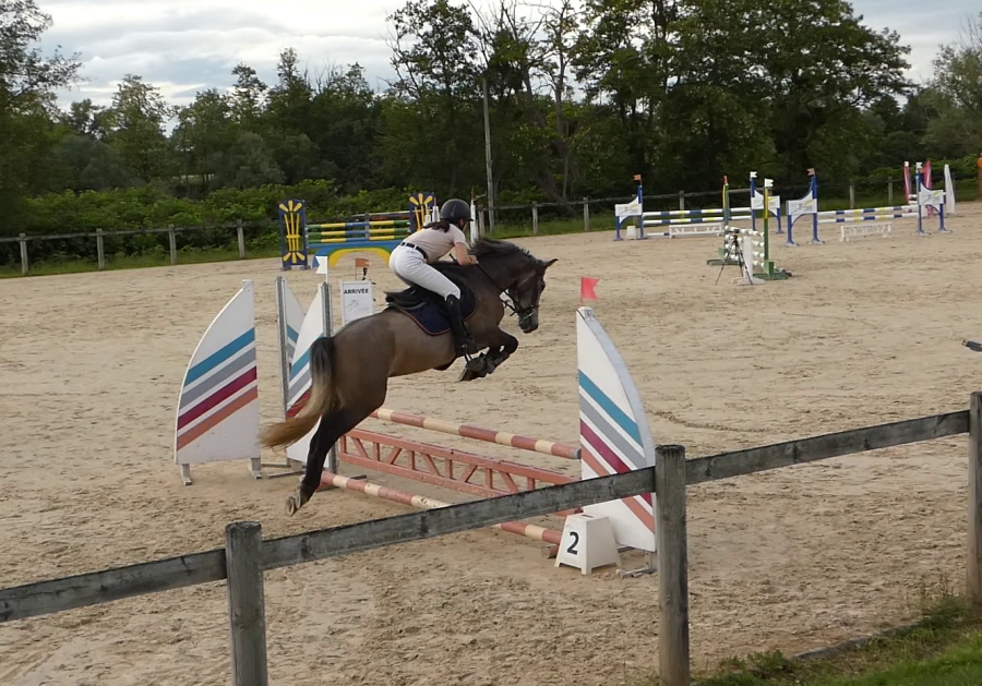 Vente de poney