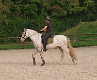 Vente de cheval : Prometh�e 