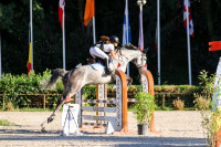 Vente de cheval : Jupiter Corniere
