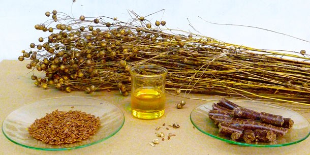 matieres grasses alimentation