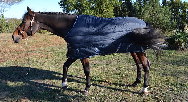 Quand les professionnels parlent des couvertures de chevaux