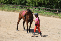 Vente de cheval : Grimpeuse leman