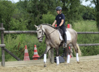 Vente de cheval : Quartel