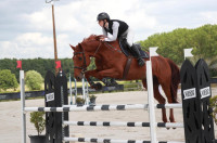 Vente de cheval : Harmony