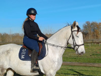 Vente de cheval : V�ga