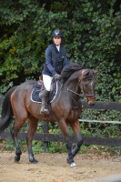 Vente de cheval : Khristian 