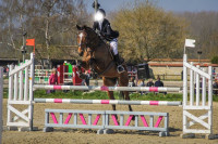 Vente de cheval : Berigny