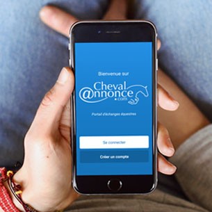 Lancement de l'application ChevalAnnonce