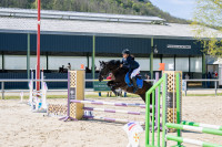 Vente de poney