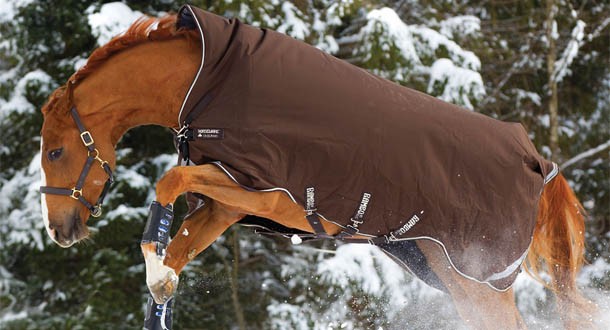 Les couvertures pour chevaux