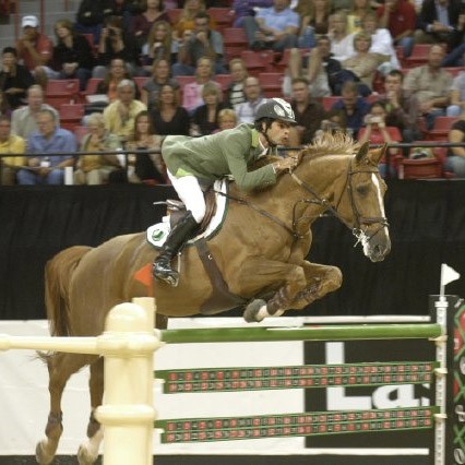 CSO - Concours de Saut d'Obstacles