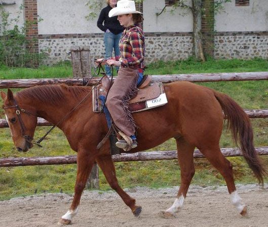 Cavalier western