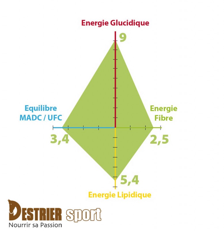 Indice énergie destrier sport