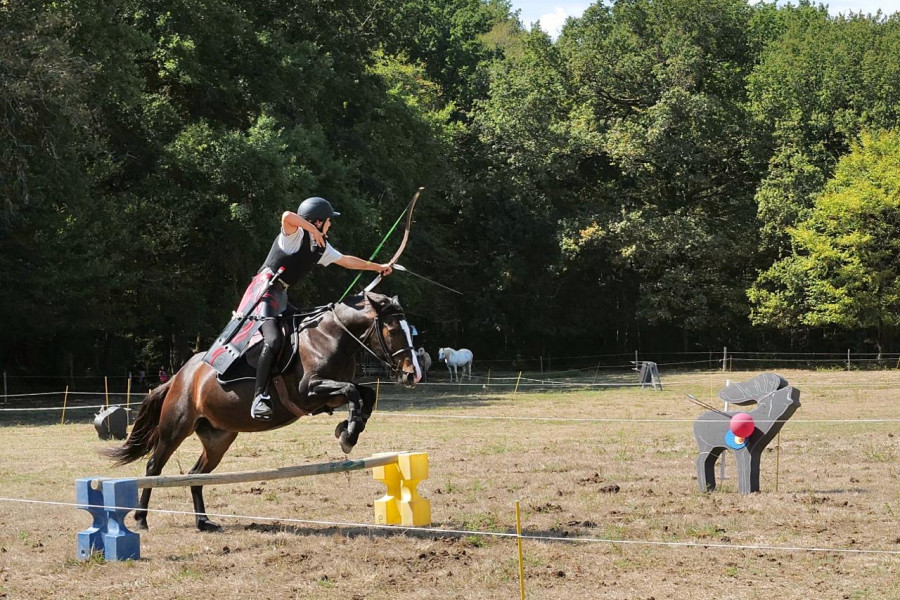 Vente de poney