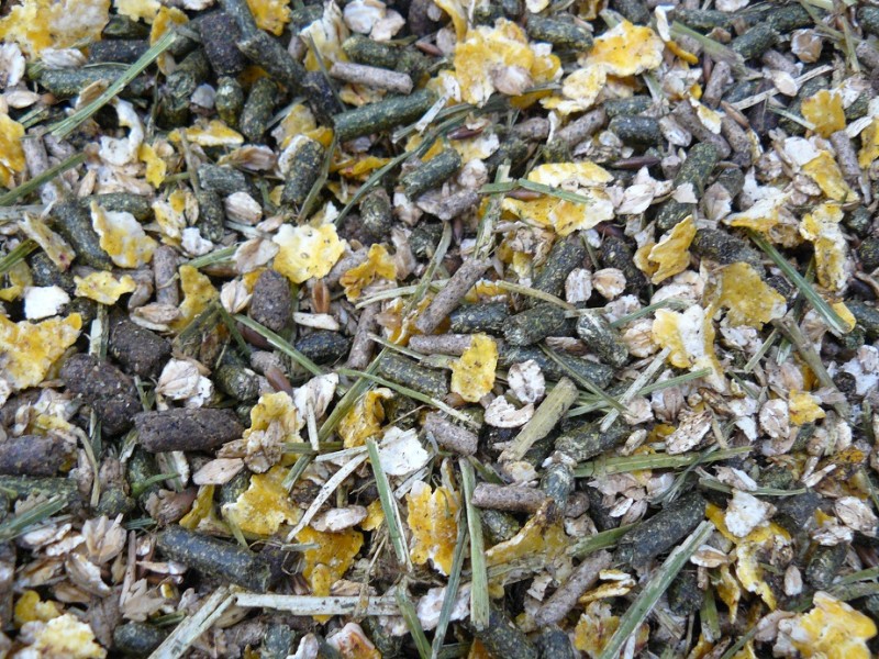Aliment en granuls pour chevaux