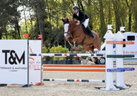 Vente de cheval : humpy des flagues