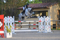 Vente de cheval : IMAGINE GLANVILLE