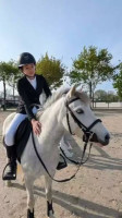 Vente de poney