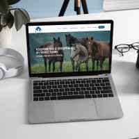 Agence web et marketing �questre