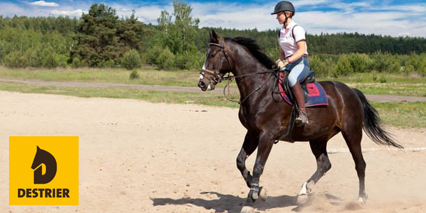 Les sources d'nergie du cheval