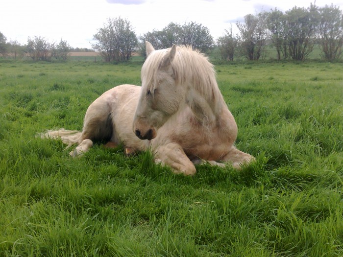 une petit  sieste