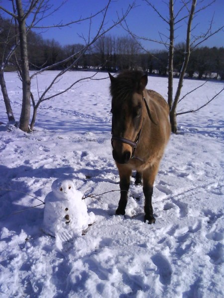 Avec son copain bonhomme de neige