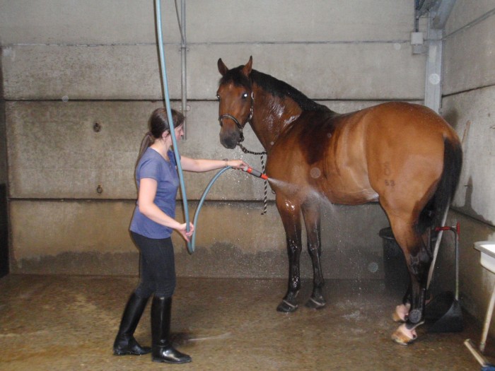 Aprs l'effort, le rconfort! Aaaah... Qu'on est bien quand on est dans son bain!