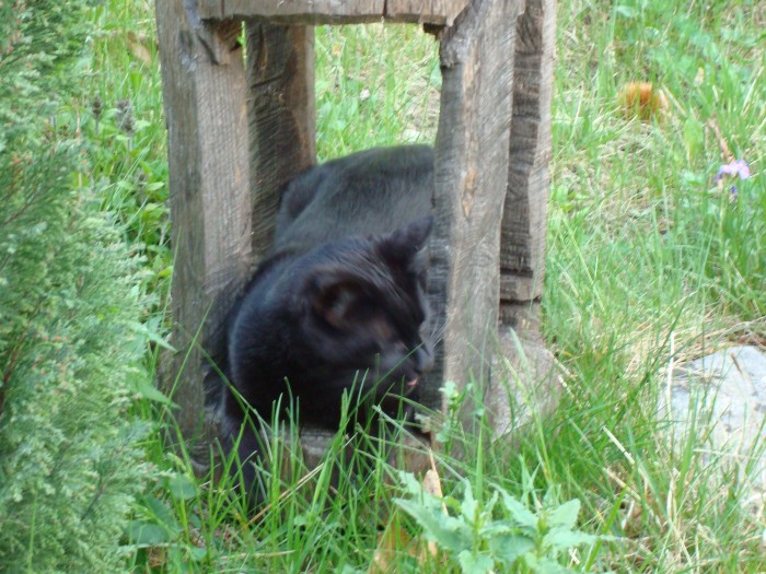 Lou dans sa petite cabane