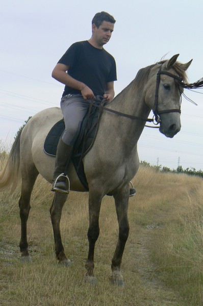 juillet 2010, ol y ol...