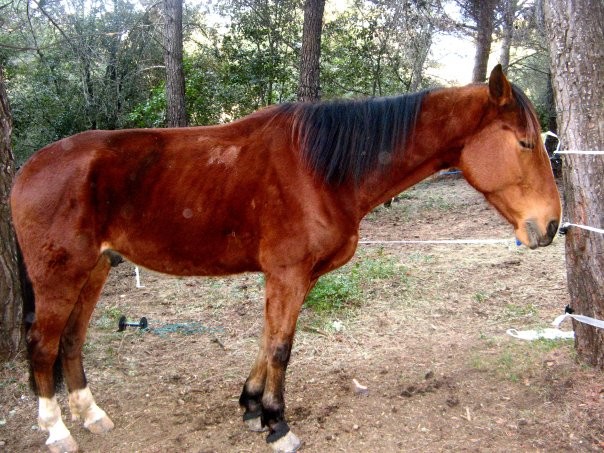  son arrive ... pas beau  voir 