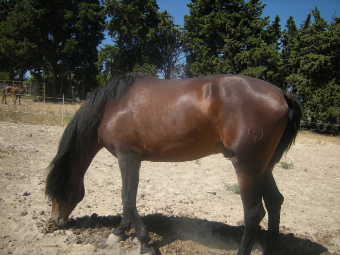 Coco mon gros bb de 3 ans