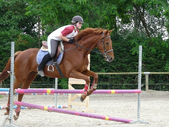Ptit cheval d'amour qui ma suivie toute une anne. Que du bonheur avec lui No &#9829;!!