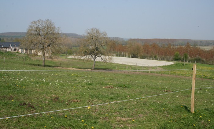 Vue d' un paddock 