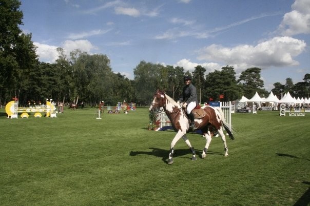 Pinto2 (6ans 3me anne)  fontainebleau (petit parquet)