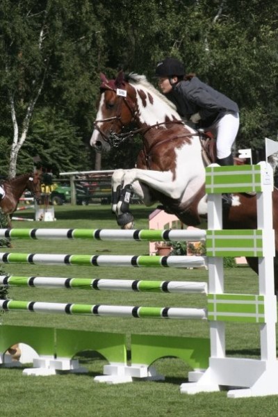 Pinto5 (6ans 3me anne)  fontainebleau (petit parquet)