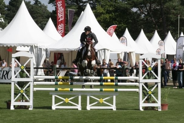 Pinto3 (6ans 3me anne)  fontainebleau (petit parquet)