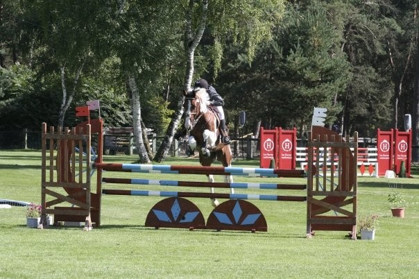 Pinto7 (6ans 3me anne)  fontainebleau (petit parquet)