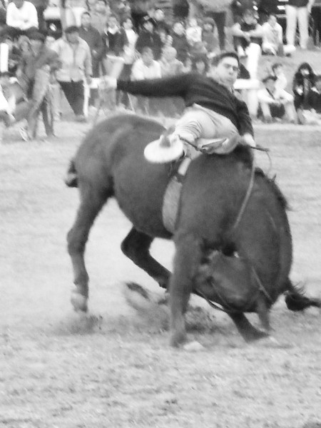 Rodeo Argentin "Jineteada", impressionnant...m�morable...